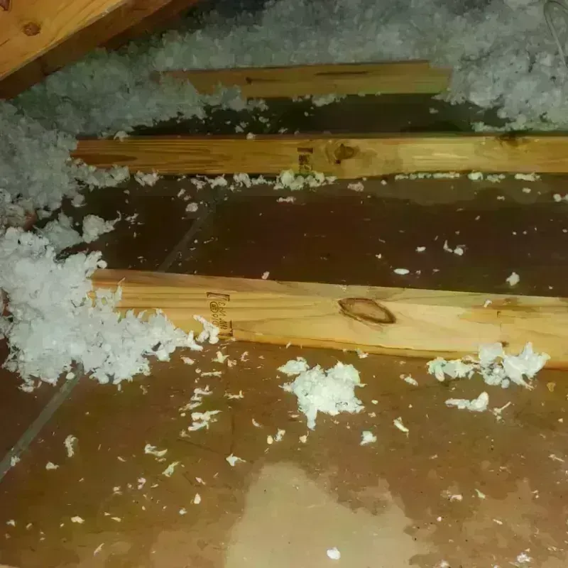 Attic Water Damage in Kingwood Area, TX