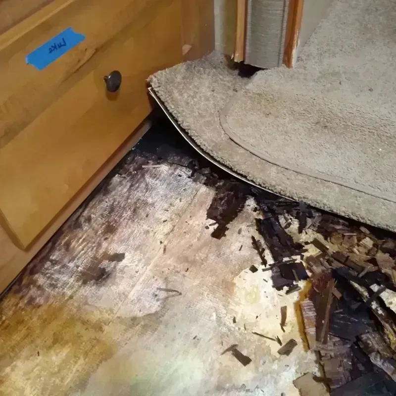 Wood Floor Water Damage in Kingwood Area, TX